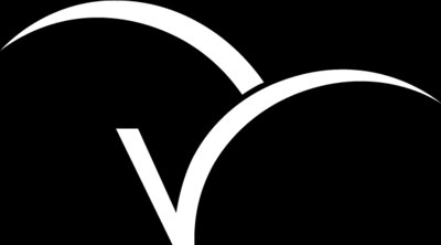 W S Val logo V white